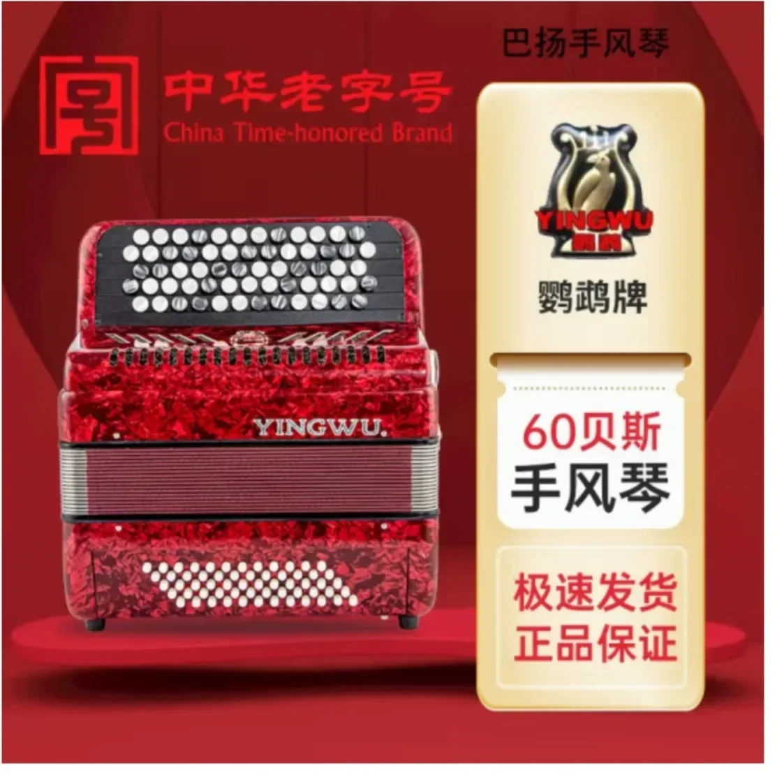 Accordion 60/96 Bass Button Type Beginner Test Adult