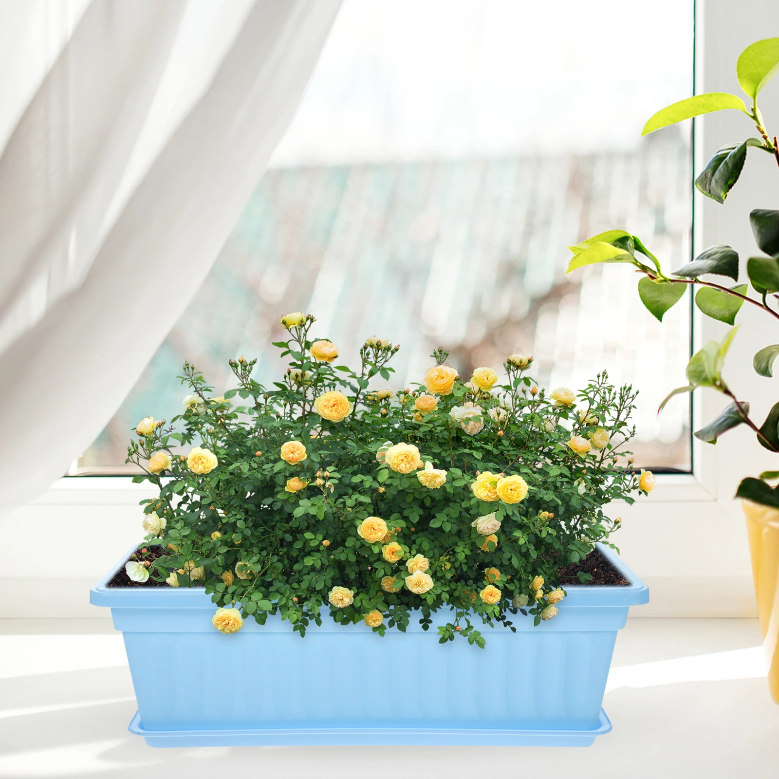 

4 set Window Planter Box Flower Pots Trays for Balcony Garden Flower Planting Holder Patio Planters Boxes Square Container