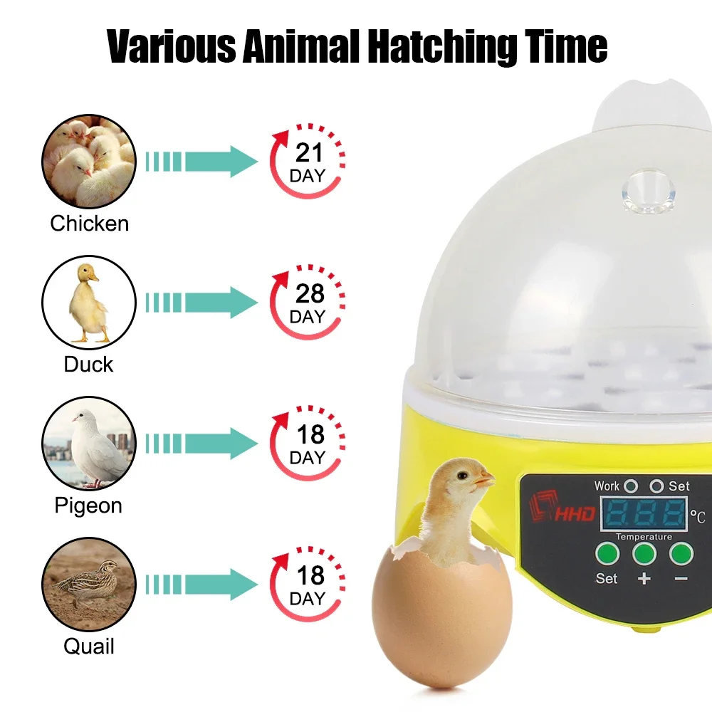 Temperatura Digital ajustável Mini Egg Incubator, automático, 7 ovos, frango, pato, pássaro, pombo, aves domésticas