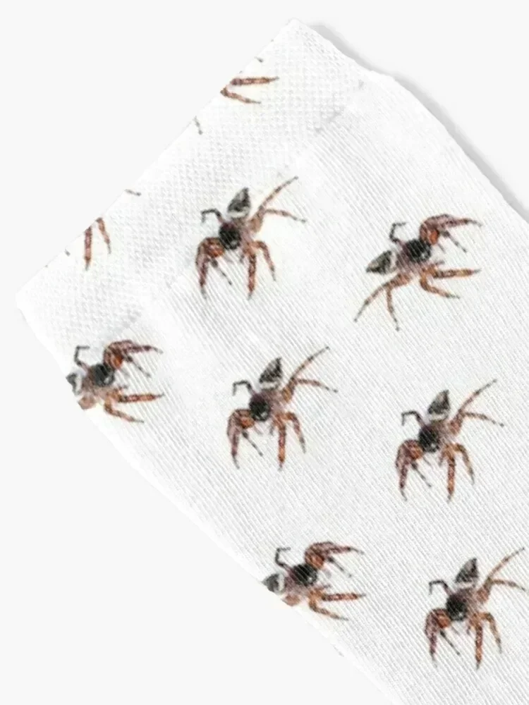 Jumping Spider Socks cotton luxe Soccer summer Socks For Girls Men's