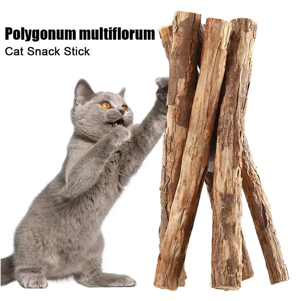 Cat Wooden Chew Stick Cat Toy Chew Increase Appetite Clean Teeth Mint Chew Cat Snack Natural Wood Pet Chew Stick