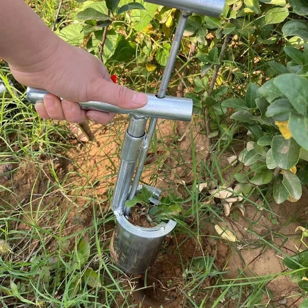 Garden Bulb Planter Tool, Plant and Fruit Tree Seedling Transplanter, Stainless Steel Transplanter Tool for Planting, Digging