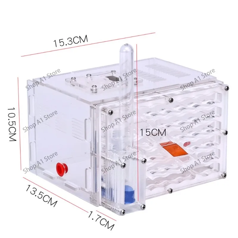 Acrylic Ant Castle Formicarium, Pet Colony Villa Habitat, Transparent  Farm Nest for Keeping