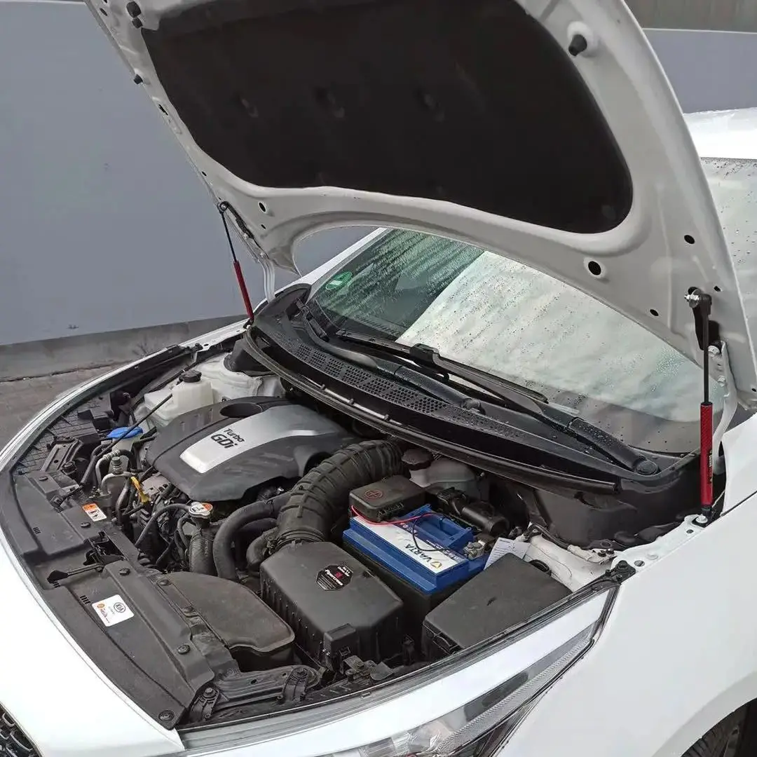 Für Kia Ceed Cee solltest II JD 2012-2018 2x Front Hood Bonnet Ändern Gas Streben Carbon Faser Lift unterstützung Schock Dämpfer