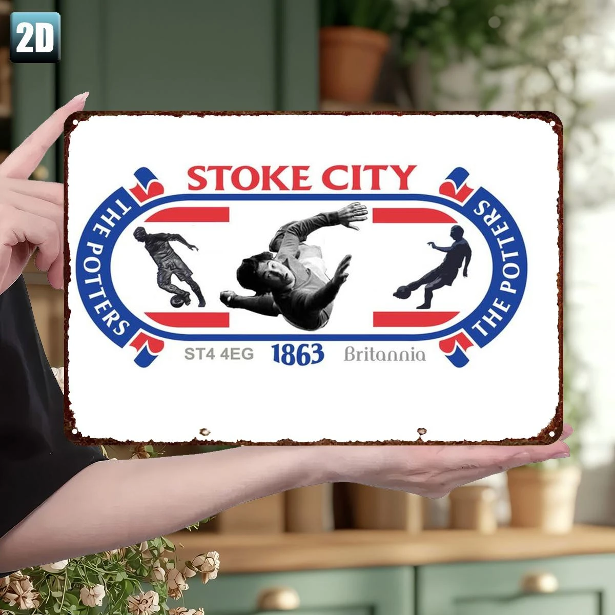 2D Plat 1 PièCe, St… - image