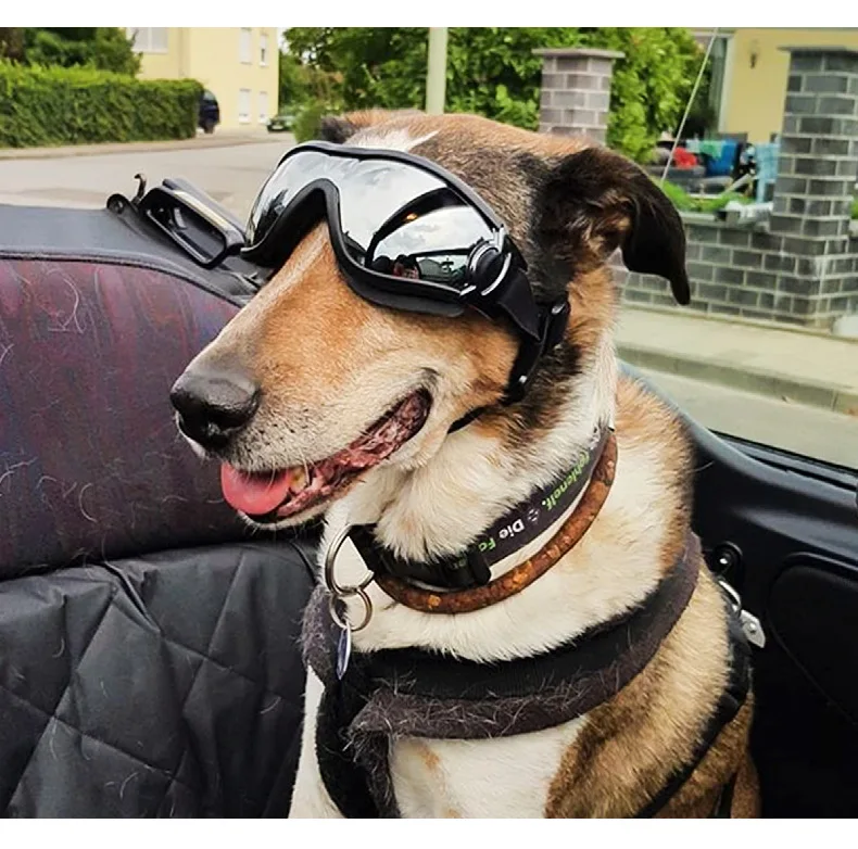 Transparente Farbige Hunde-Schutzbrille Wasserdicht Winddicht Sonnenschutz UV-Beständig Große Hundebrille – Detail 15