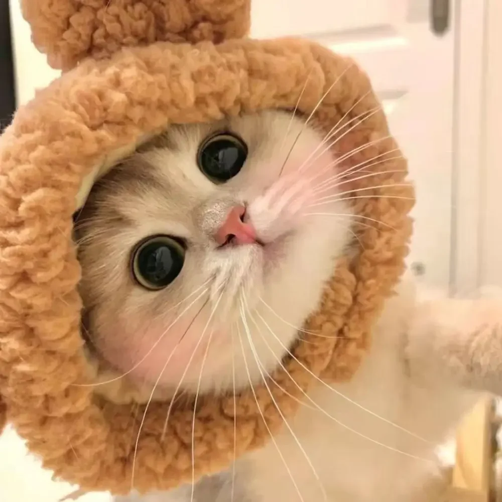 Cute Refined Cat Hat Plush Elastic Winter Pet Hat Puppy Kittens Knitted Hat Party Cosplay Props Decoration Dog Accessories Pet