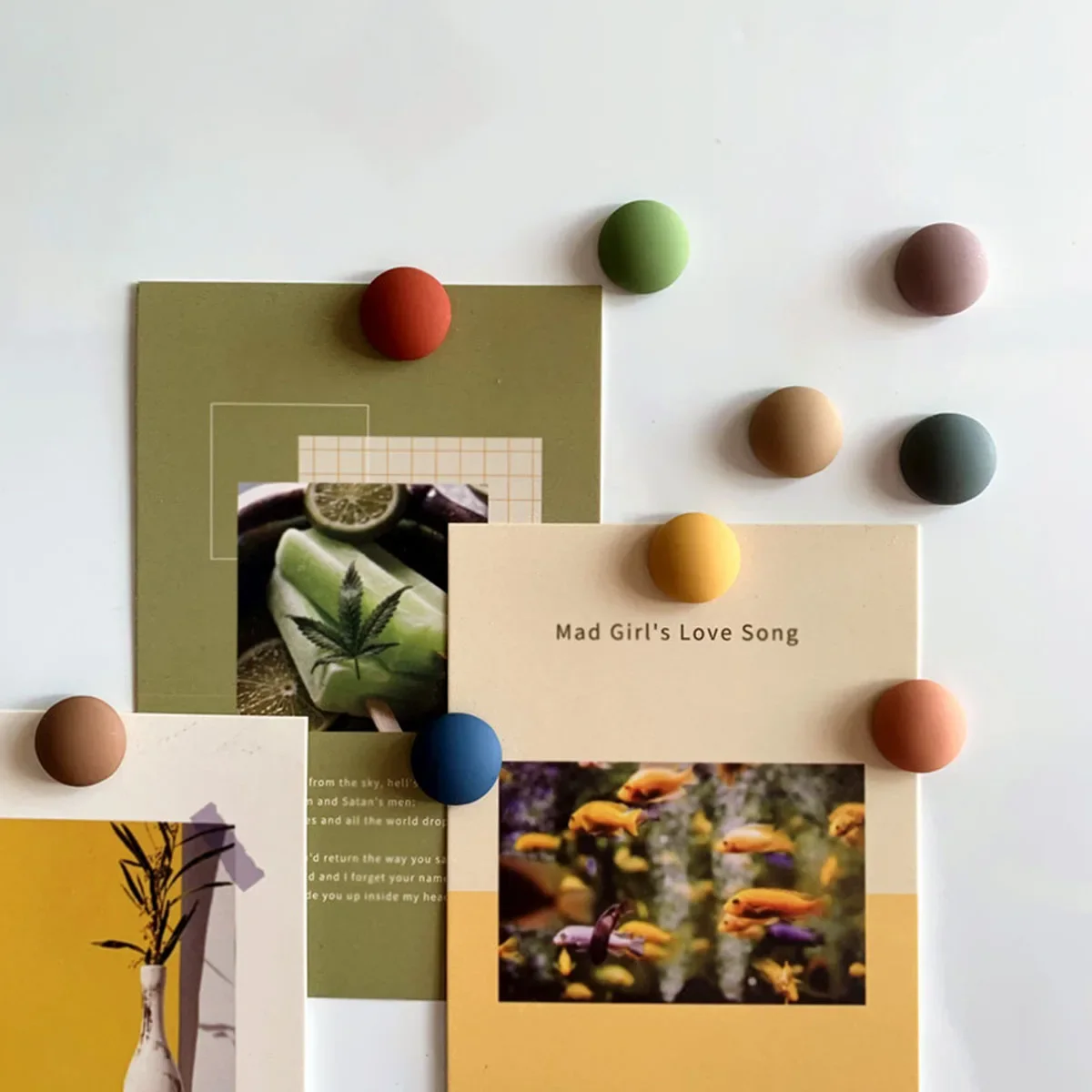 Frosted Magnet Mo L…