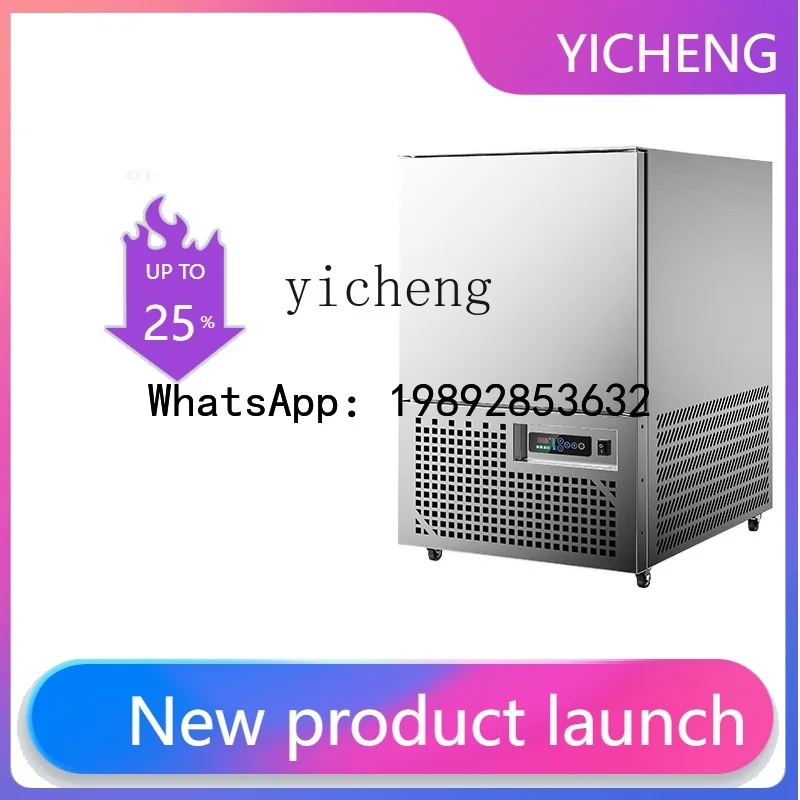 

BX Commercial freezer Frozen buns Sea cucumber Seafood Low temperature refrigerator Quick-freezing machine Plug-in cabinet