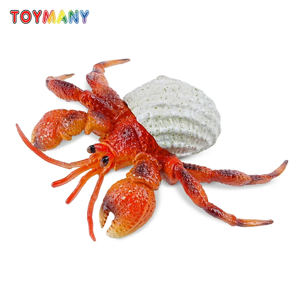 

Toymany Simulation Hermit Crab Ocean Animal Model Toy Mini Figures Dolls Action Figurines Toys Children Gift Cake Decoration