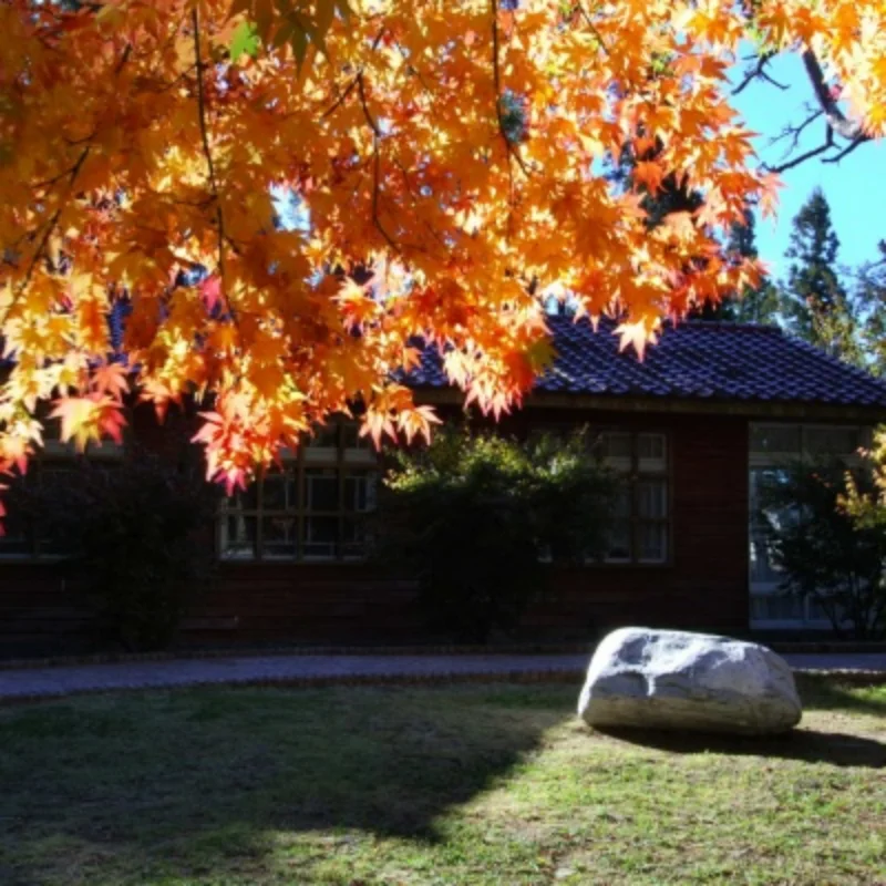 Conchas de eje trasero delantero para WLtoys 1/10 104006 104010 104020 104026 piezas de mejora de Metal modelo Rc coche trepador camión Buggy