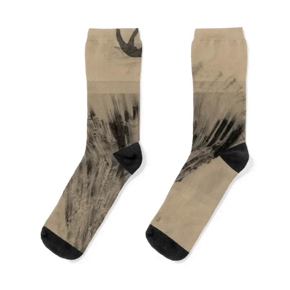

ANIMA Socks winter thermal Men's floral tennis Women Socks Men's designer Toe sports Stockings compression Boy Socks Women's