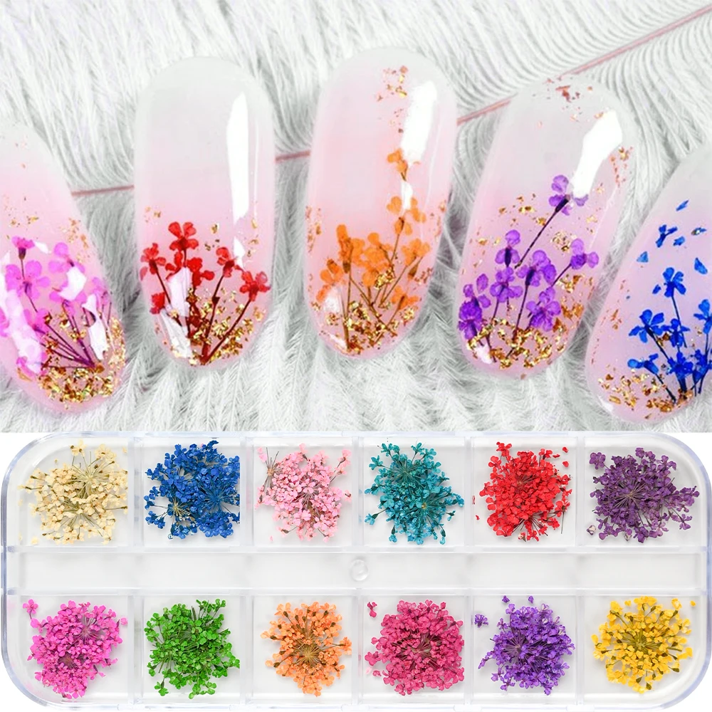 12Grids Dry Flower Nail Art Decoration Real Mini Dried Blossom Stickers Natural Floral Charms Designs DIY Manicure Nails Access*