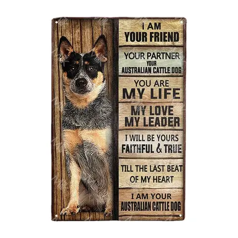 10 best sales Australisk nötkreaturshund - №7