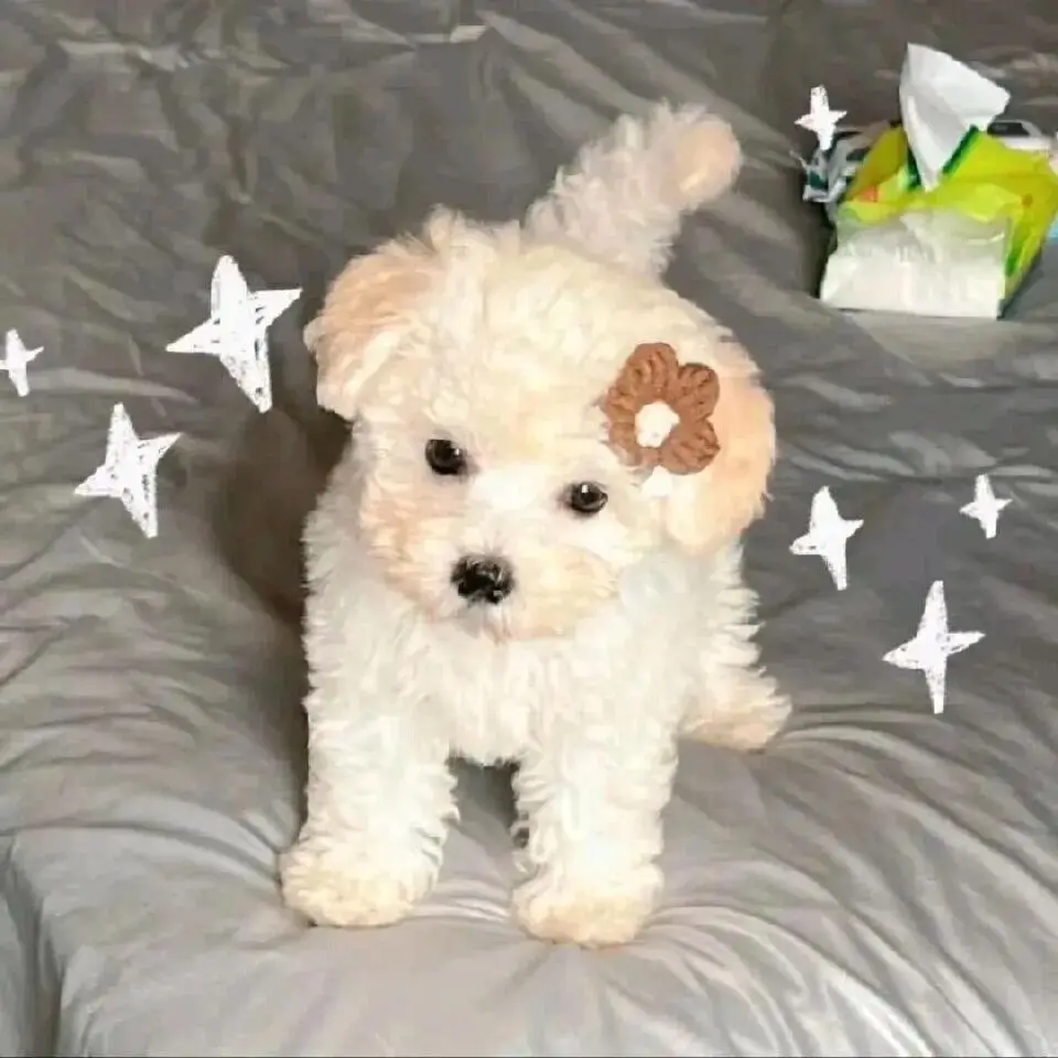 

Графеновое керамическое покрытие 20H с технологией самовосстановления и УФ-трекингом для профессионалов автодетейлинга: 10+ лет защиты