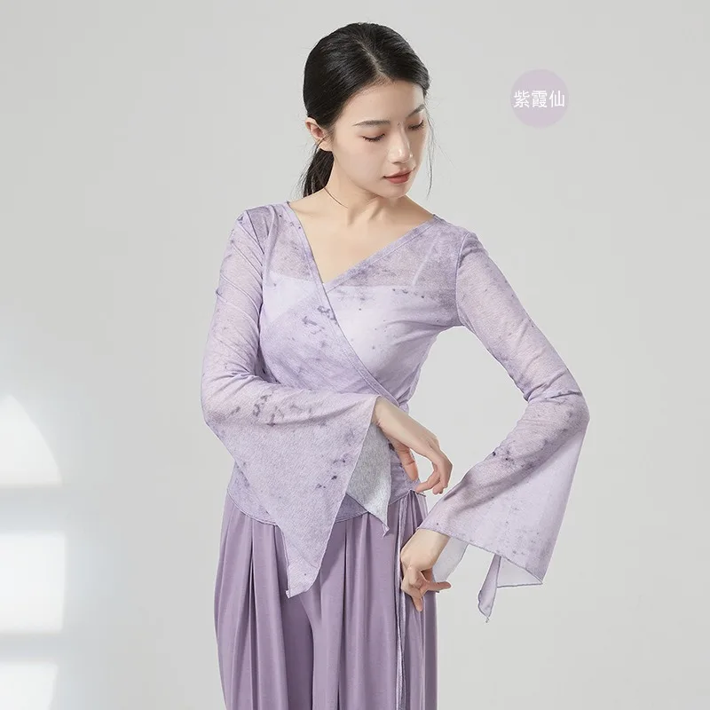 Horn Sleeve Gauze Shirt Women Classical Mesh Top Printed Transparent Sexy Dancer Practice Wear Performance Suit Hanfu Chinese