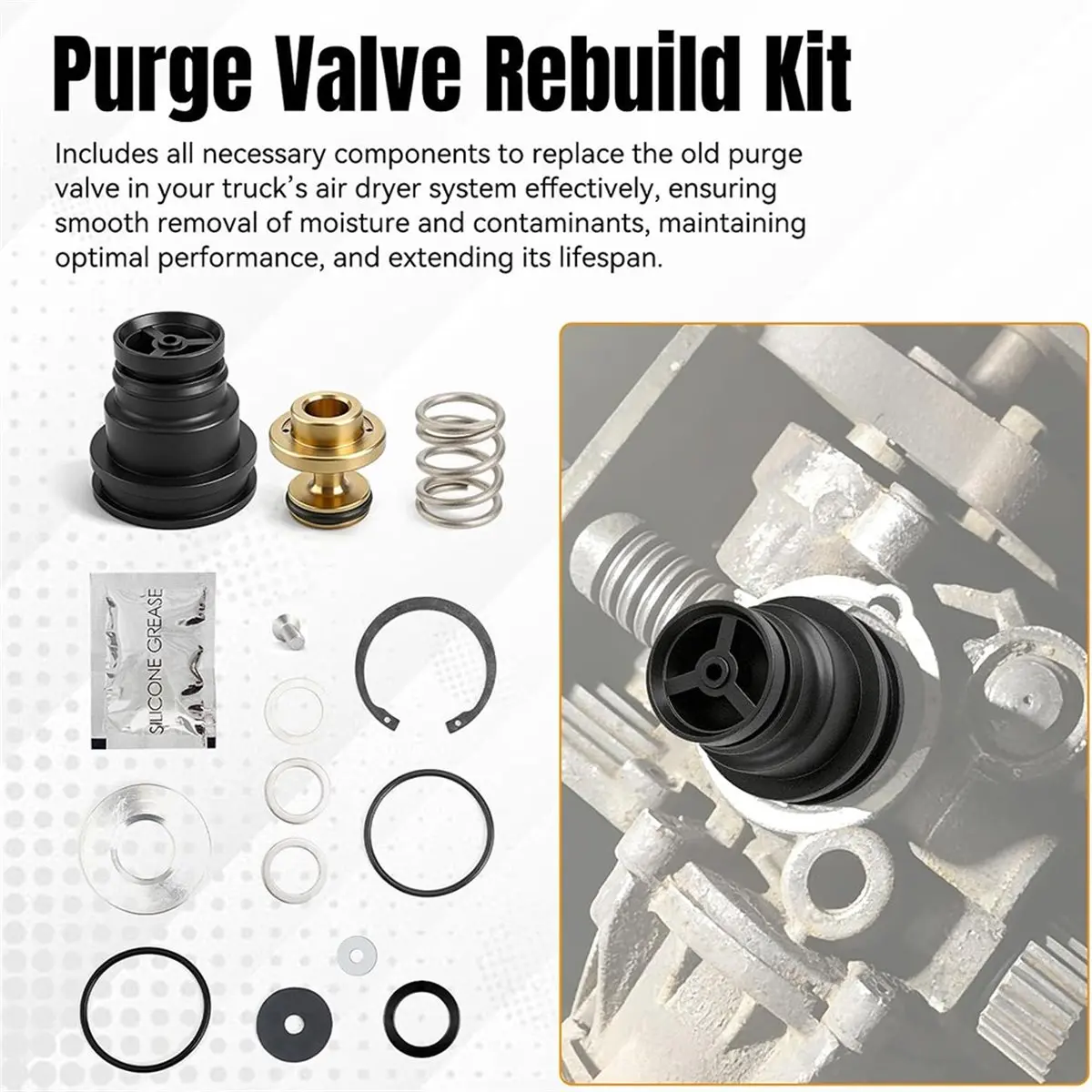 Upgraded R950014 4324139292 Purge Valve Kit for System Saver 1200 1200P Purge Valve Rebuild Kit for