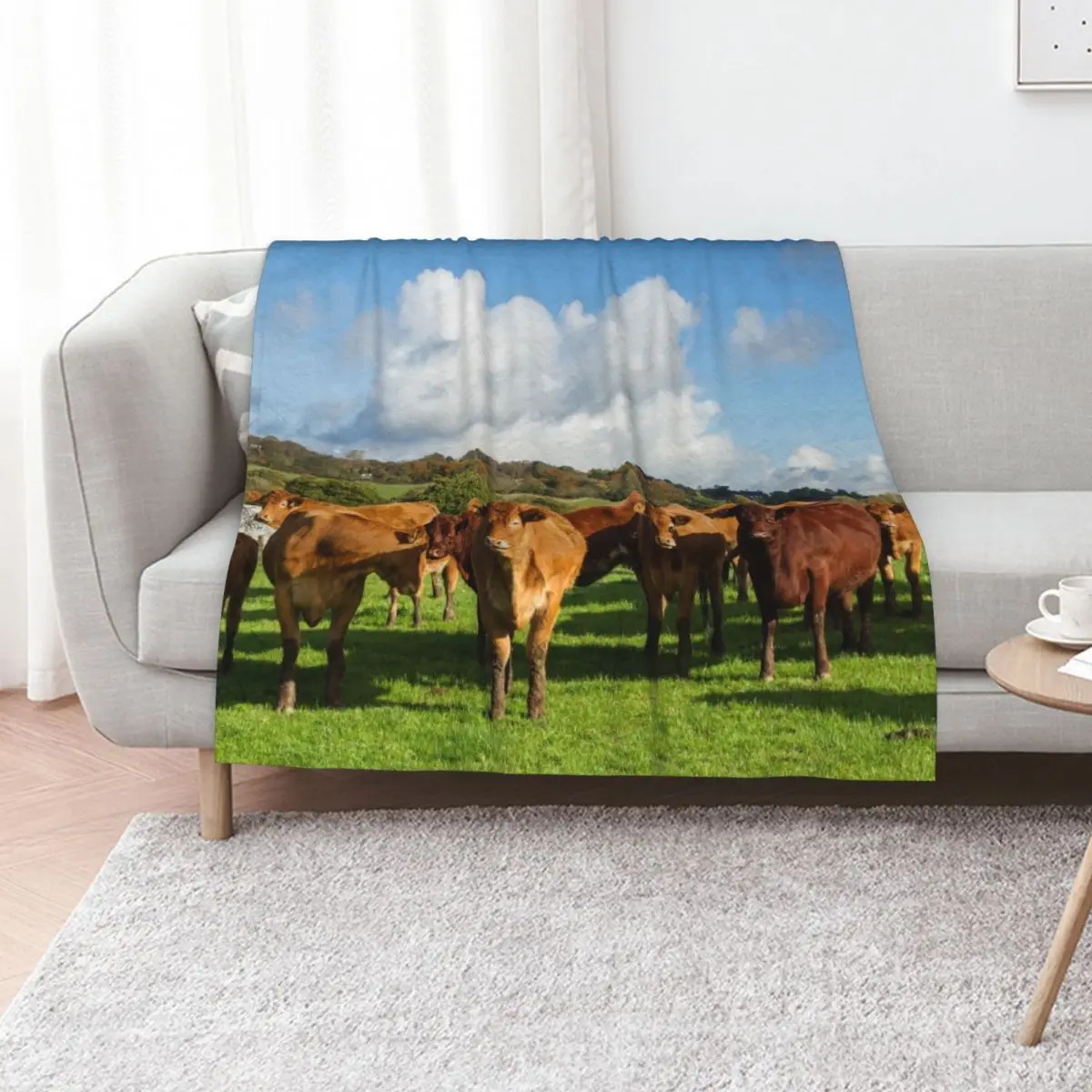 

Limousin Cows Throw Blanket Stuffeds Luxury Brand for winter halloween Blankets