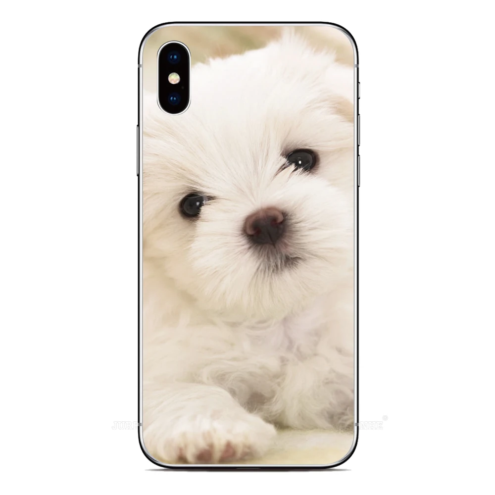 Pet Dog Paw Phone Case For Cubot P80 P60 P50 P30 X30 X50 X20 X19 C20 C30 J8 J9 J10 Max 3 Note 9 8 20 J3 J7 Pro P20 Cover