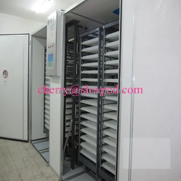 Hot Sale Egg Incubator 5280/duck Egg Incubator/ Small Egg Hatchor For Sale