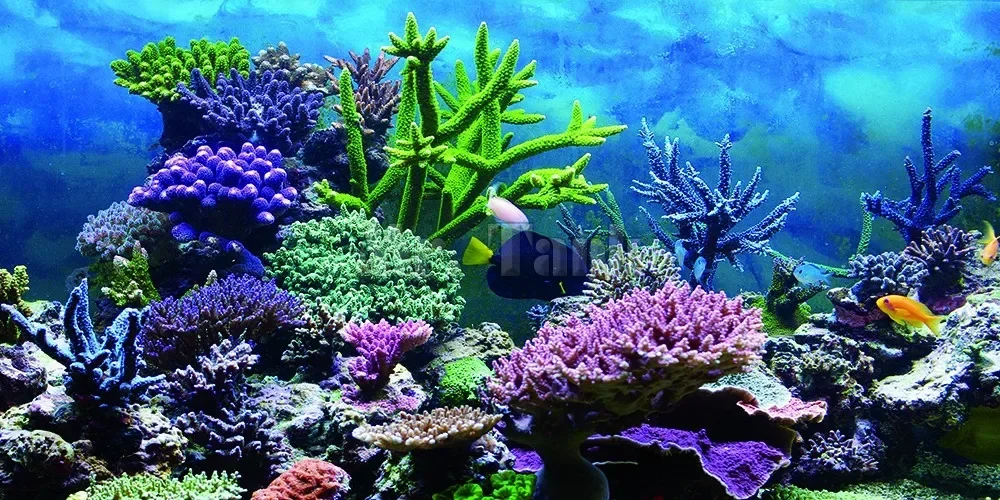 Mr.Tank PVC Aquarium Background Poster Fantasy Mountain View Fish Tank Backdrop Fantasy HD Aquarium Decorations image 2