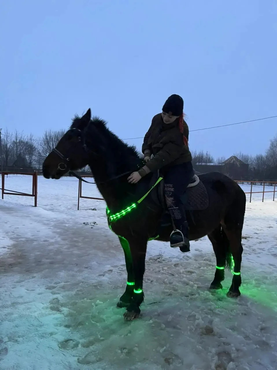 LED Horse Harness Nylon Night Visible Horse Riding Equipment Outdoor Horse Breastplate Dual Racing Equitation Equestrian Belt