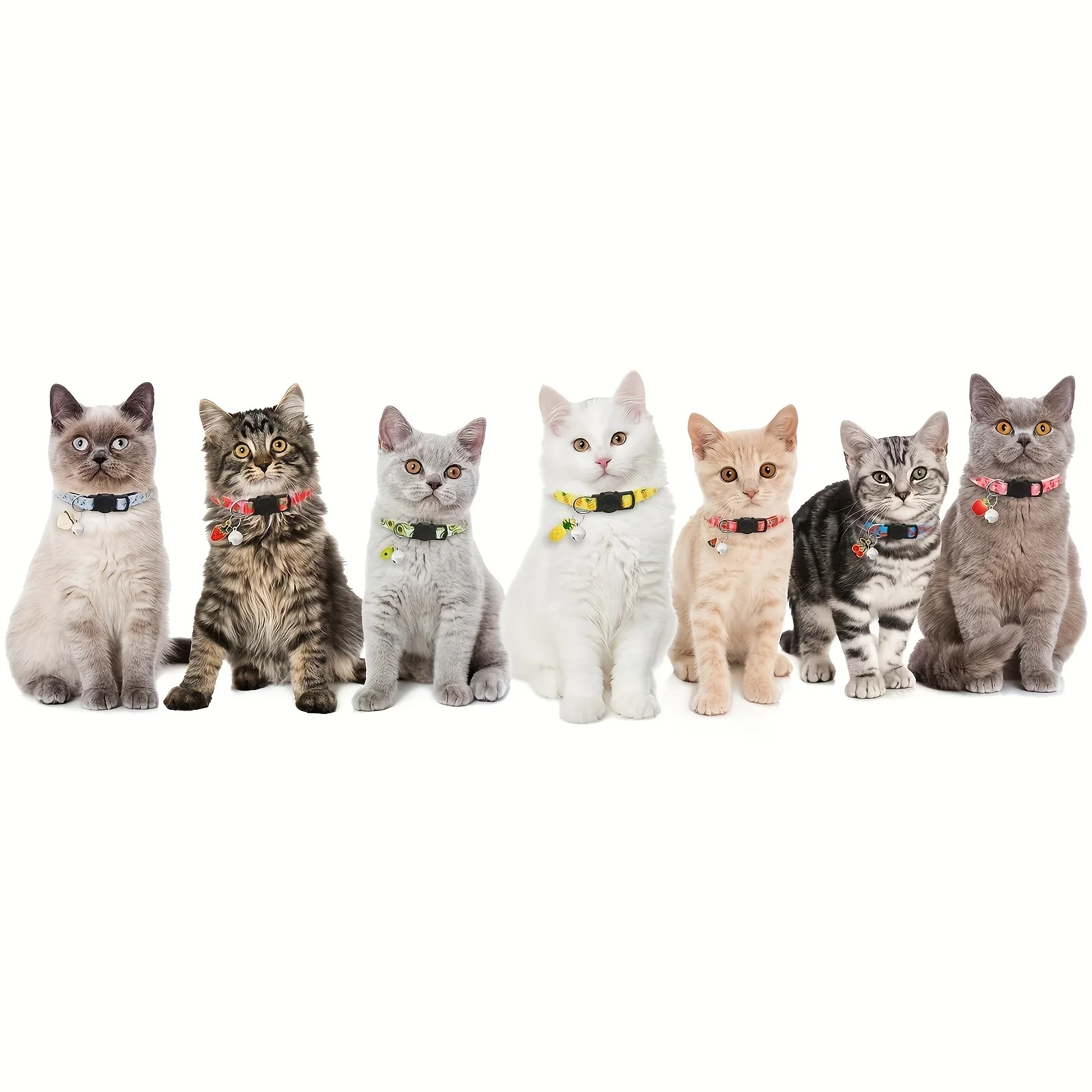 Katzenhalsbänder mit Fruchtmuster, 7er-Pack, Katzenhalsbänder, Fruchtmuster, abreißbare Schnalle, reflektierendes Sicherheits-Kätzchenhalsband mit Glöckchen und Anhänger – Detail 7