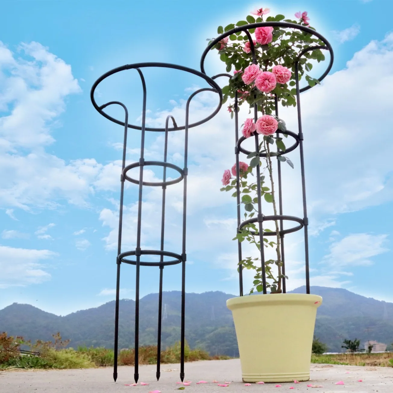 Gartenbau-Blumenständer, Pflanzenkletterrahmen, Regenschirm-Kletterrahmen der dritten Generation