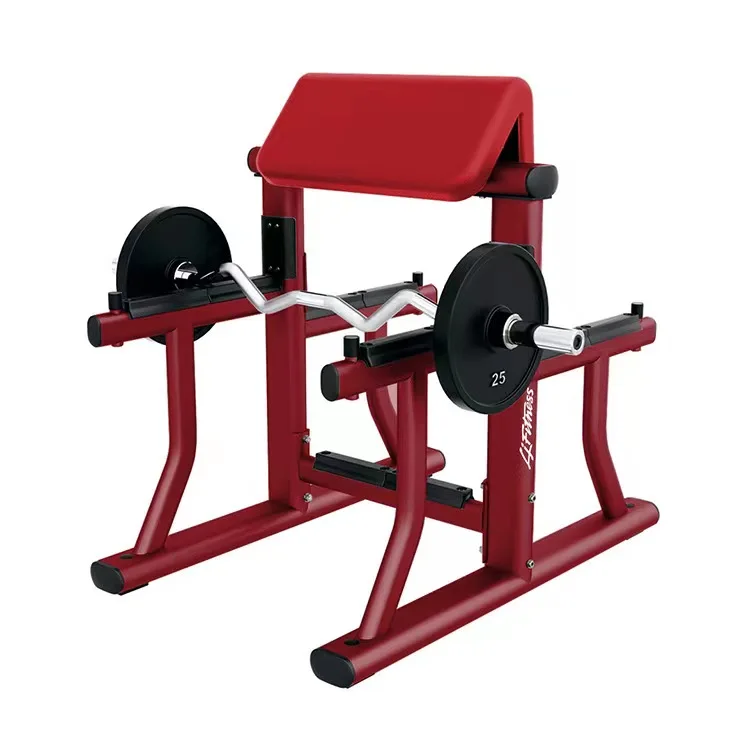 2025 Popular Bodybuilding Gym Equipment Camber Curl Strength Training Fitness Gym Equipment Biceps Exercise Machine