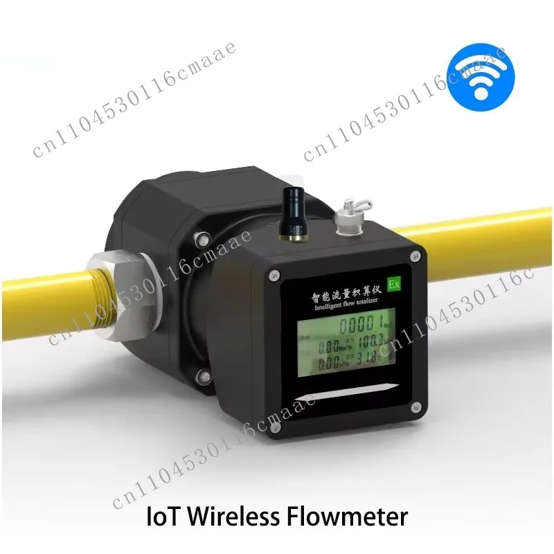 Wireless Turbine Flowmeter 4G NB-IoT LoRa Low Flow Rotary Gas Flowmeter IP67 Protection Class 1.0 Accuracy