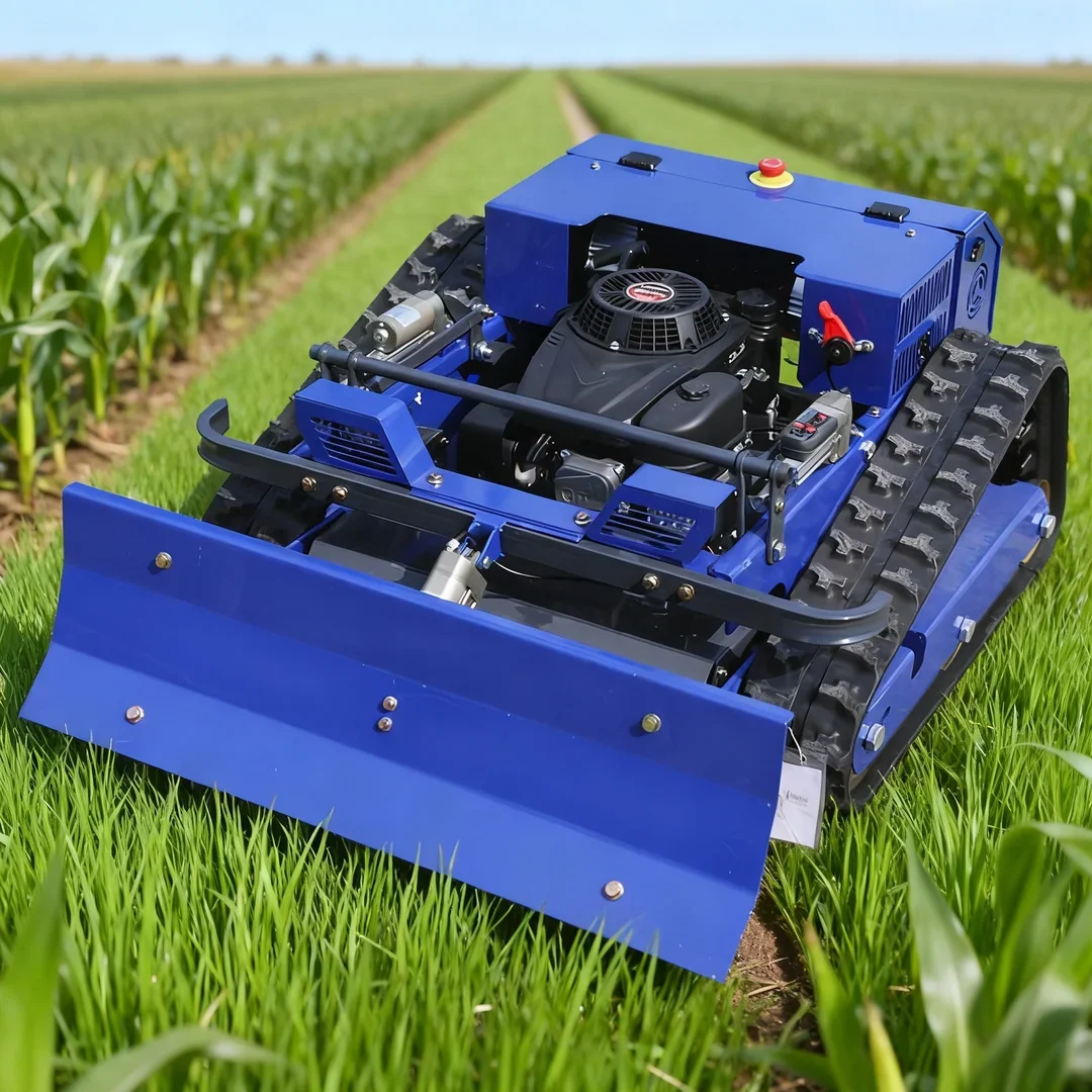 Customized Excellen…