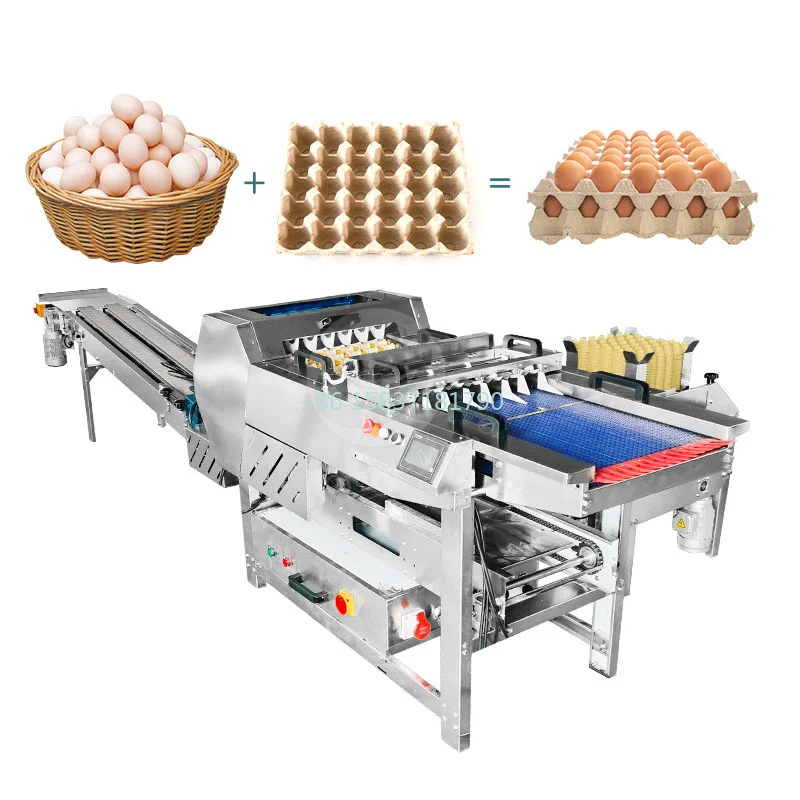 

High Performance Egg Tray Making Machine Dozen Egg Pack Automatic Paper Pulg Tray Pack Manufacturing Egg Tray Pack Machine