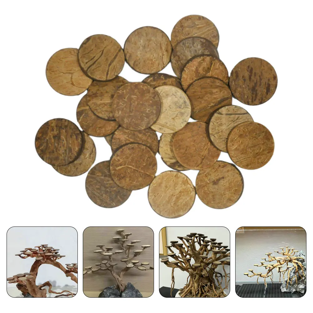 50Pcs Fish Tank Coconuts Discs Moss Circle Aquarium Decor Aquarium Ornament Fish Tank Round Chips Fish Tank Decoration