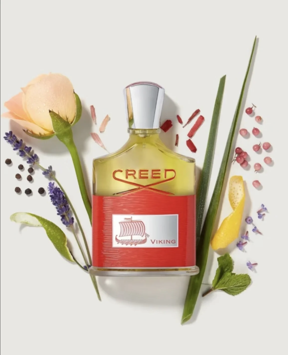 CREED Viking erkek parfümü, na - Home Fragrance Red Wine incelemesi ve fiyatı