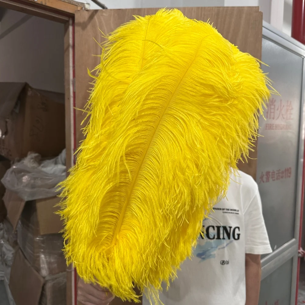 100pcs Natural Ostrich Feathers 6-16inch Fluffy Plumes for Wedding Table Centerpiece Carnival Party DIY Crafts Vase Home Costume