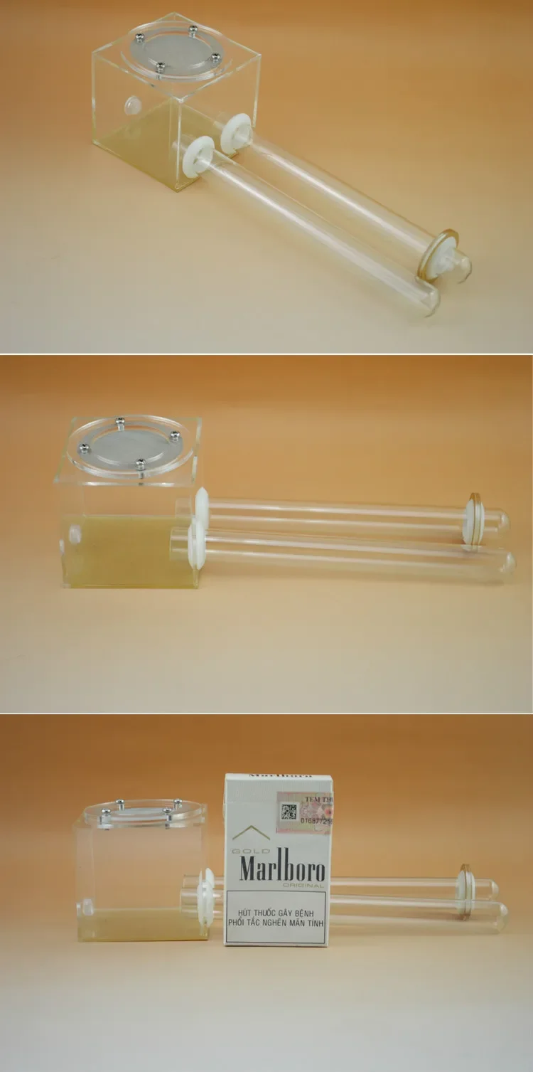 CWXTGS 1PCS Two Test Tube Ants Simple Acrylic Nest 18mm Outer Diameter Tube Super Large Capacity