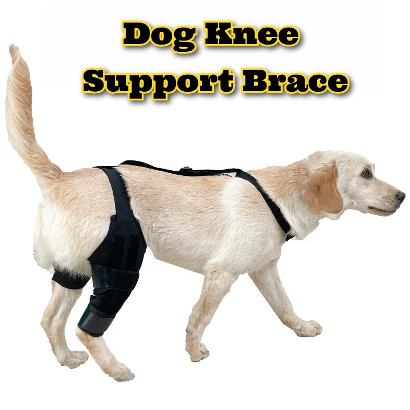 

Dog Knee Brace Hind Leg Support Joint Protective Sleeve Canine Mobility Aid Rehabilitation Therapy Pet Care Accessories