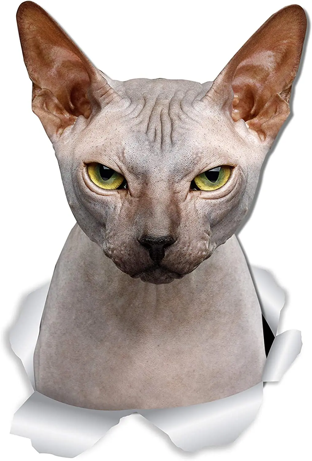 

M430# Car Sticker Sphynx Cat Waterproof Vinyl Decal Car Accessories Pegatinas Para Coche DIY Car Styling