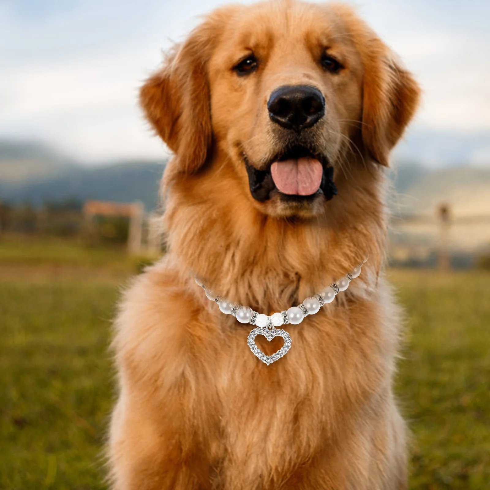 

Dog Collar with White Pearls Rhinestone Durable Lightweight Pet Necklace Puppy Accessories Gift for Cat Lovers