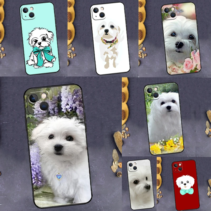 Cartoon Maltese Dog…