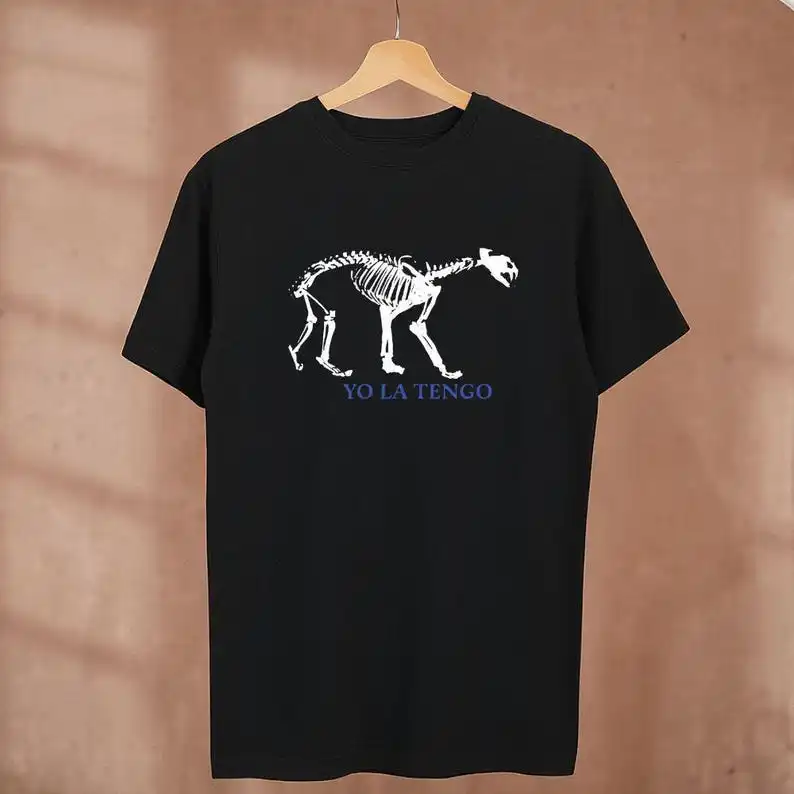 Yo La Tengo Indie R…