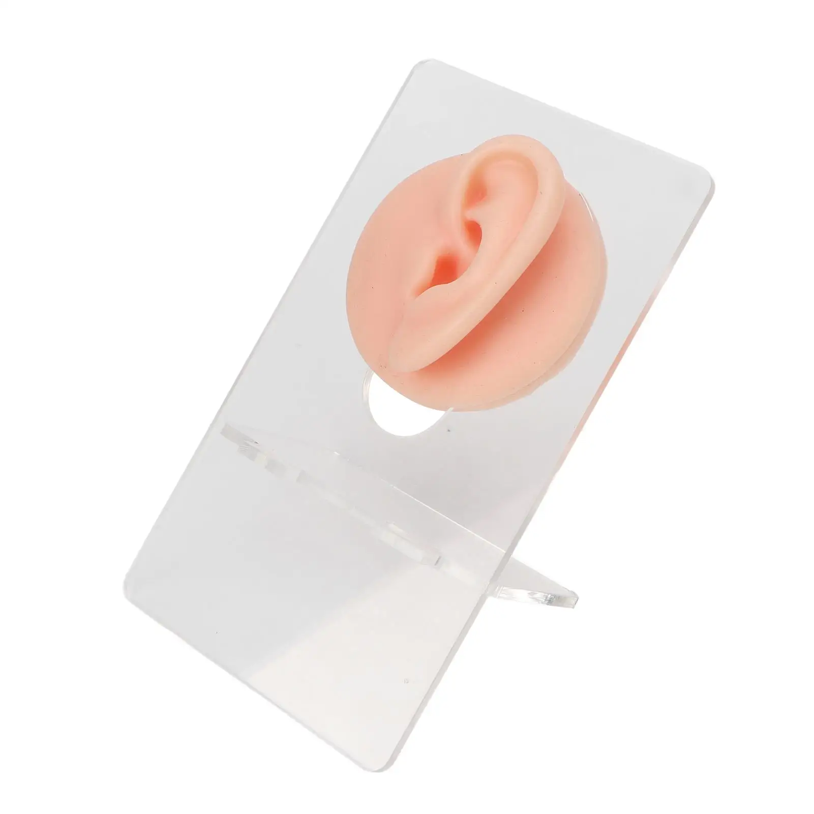 Silicone Human Ear Model for earring Display - Soft, Various Colors