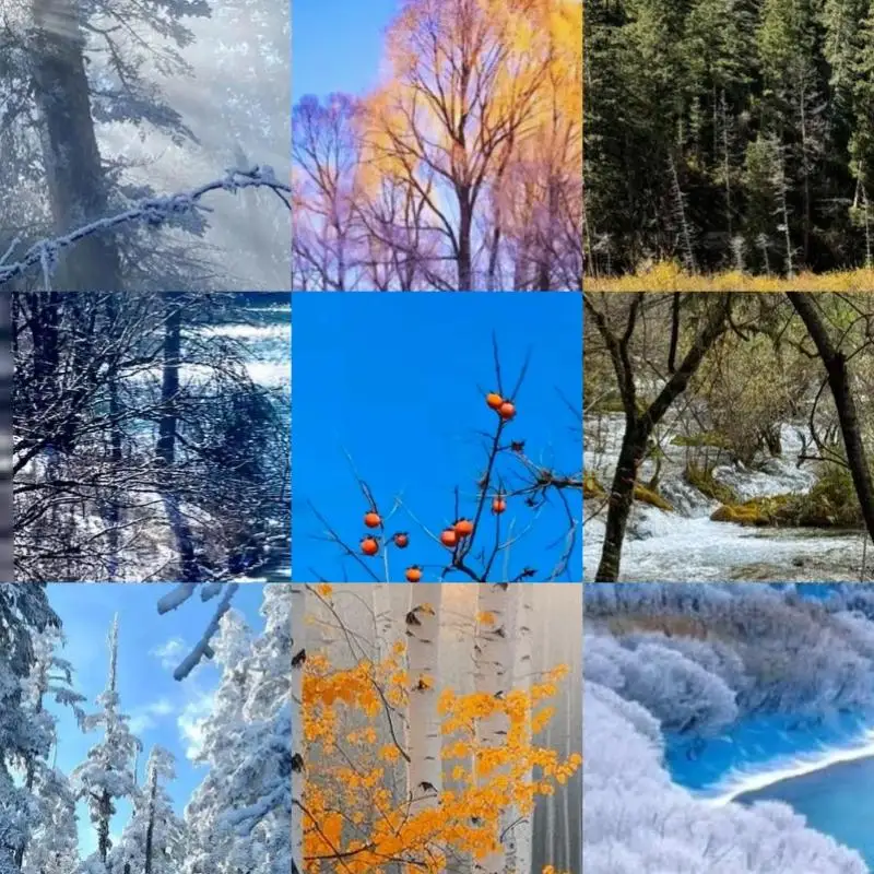 

Карта-удлинитель NGFF A+E-Key (мужской) на NVME M-key (женский) с кронштейном, интерфейсом M2 WIFI, PCIe 4.0