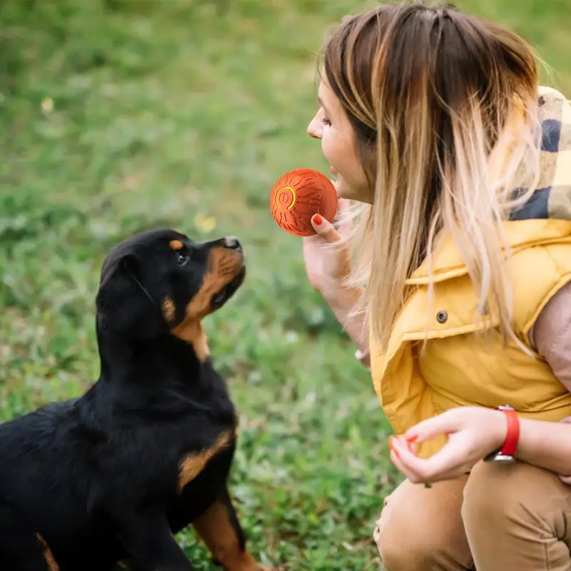 Thumbnail 3 - #29 Top 30 Puppy Fetch Toys Worth Buying In 2026