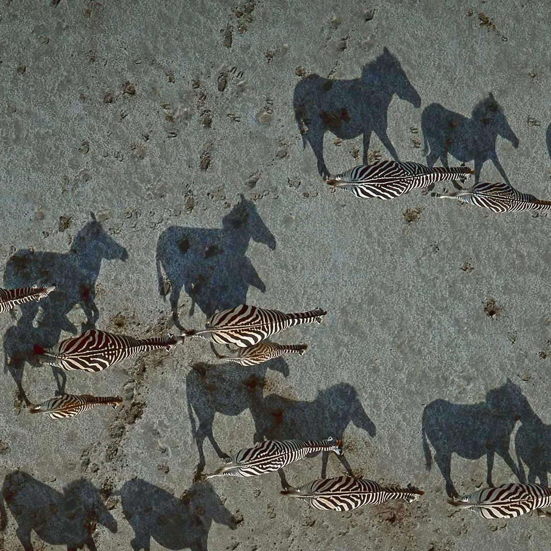 

ЖК-автомобильный цифровой кластерный приборный кабина для Porsche Cayenne 2011 ~ 2017, обновление 2024, спидометр, приборная панель, экран счетчика Linux