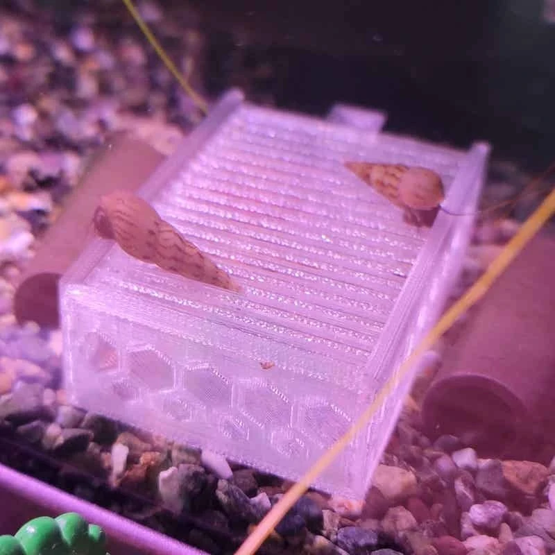 Aquarium Snail Trap Catcher for Fish Tank Pest Control Removal Tool
