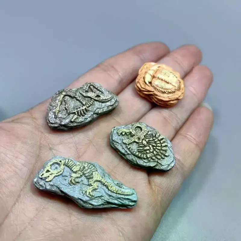 3/4/8pcs Realistic Mini Fossil Model Micro Landscape Desktop Decoration Ornaments, Home, Sand Tables/Bonsai/Photography Props