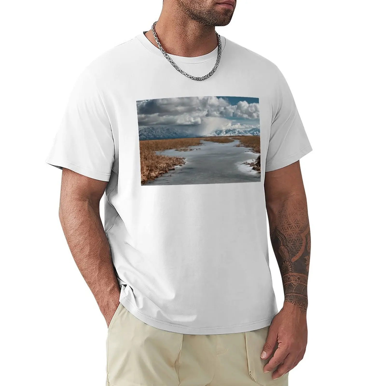 Cold snowy winter landscape T-Shirt tops oversized quick-drying mens t shirt graphic