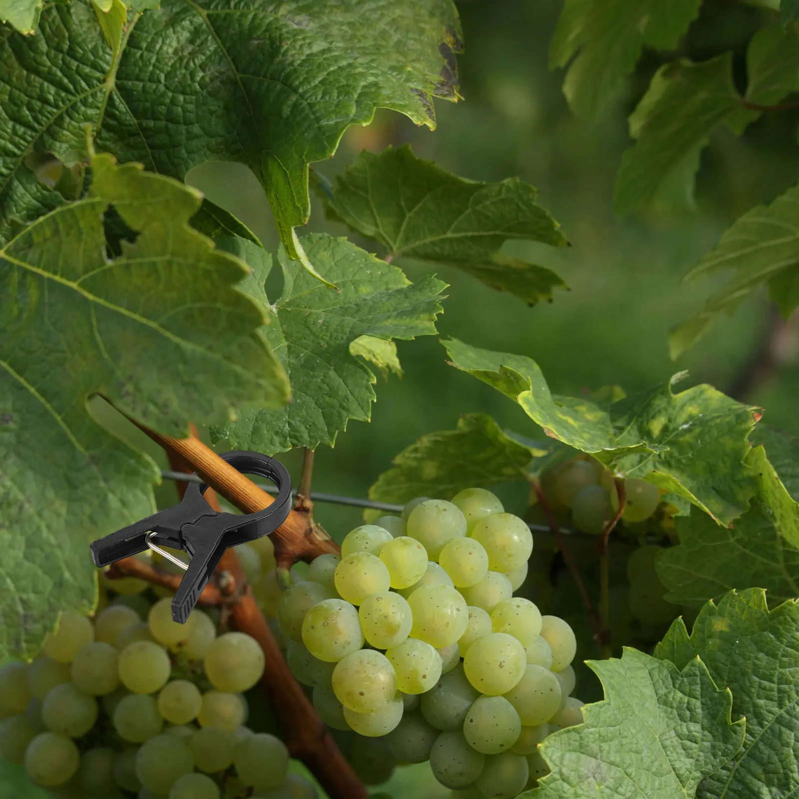 

100Pcs Plant Support Clips Plastic Garden Clamps Tomato Vine Clips Flexible Stem Supports for Plants Plant Clip