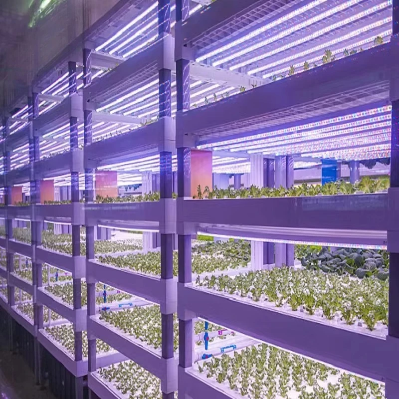 カスタム農業用温室 水耕栽培コンテナシステム 垂直農業 水耕 - Hydroponic Farming Agriculture のレビューと価格